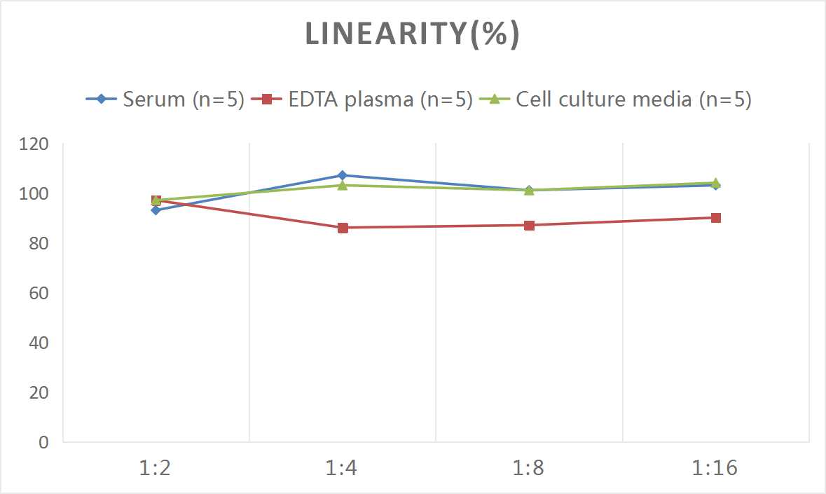 产品细节图片3