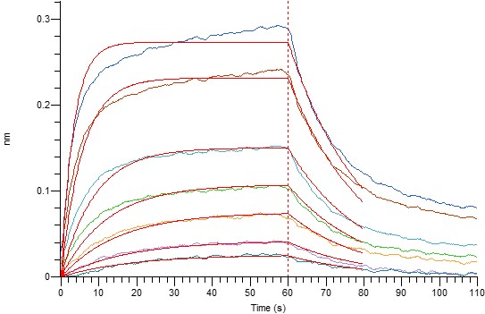 产品细节图片1