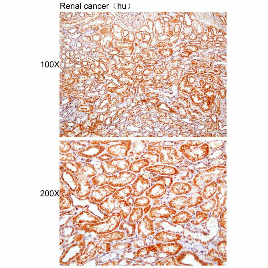产品细节图片3