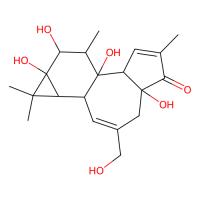 Phorbol,17673-25-5,10mM in DMSO,阿拉丁