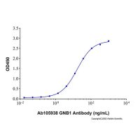 Recombinant Human GNB1 Protein，无载体,生物活性,ActiBioPure™,His标签,≥80%(SDS-PAGE),见COA，阿拉丁