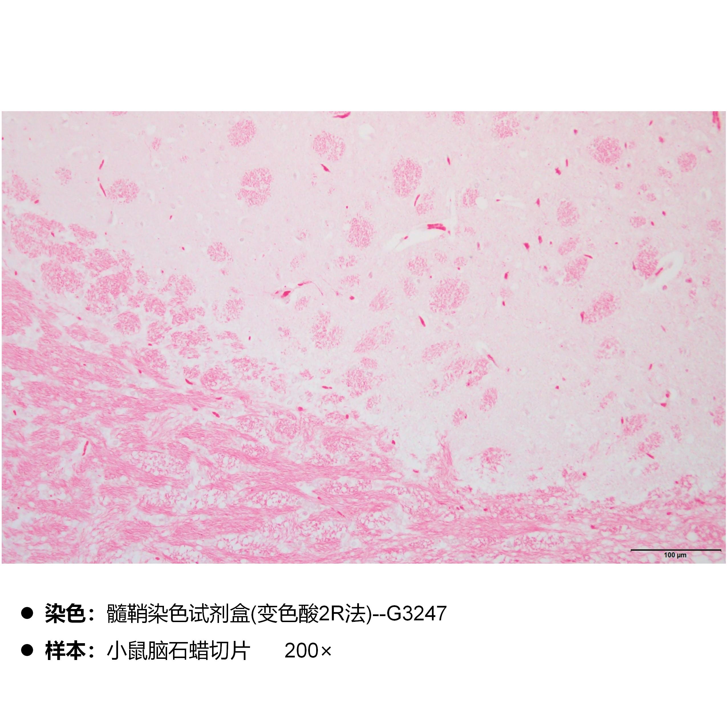 产品细节图片2