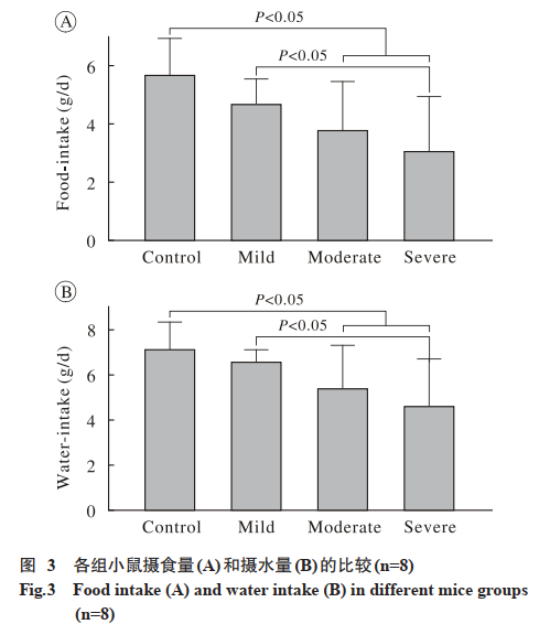 新闻图片4