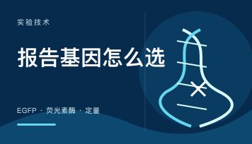报告基因 怎么选 EGFP 还是荧光素酶？成像和定量根本不是一回事