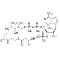 丙二酰辅酶A四锂盐，116928-84-8，≥90%，阿拉丁