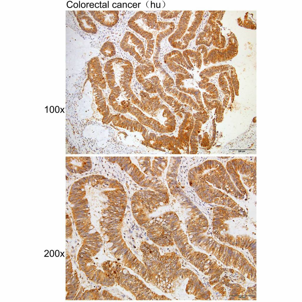 产品细节图片2
