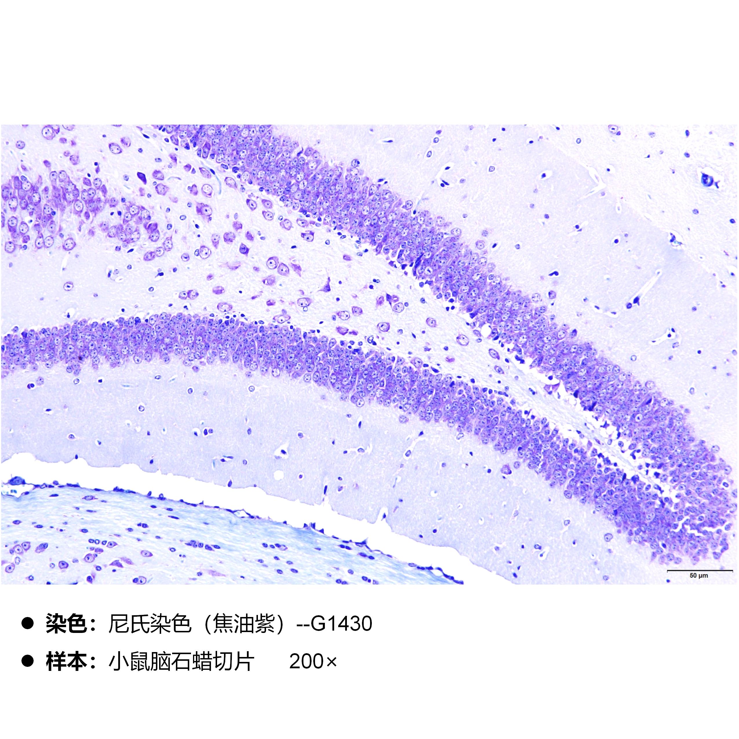 产品细节图片2