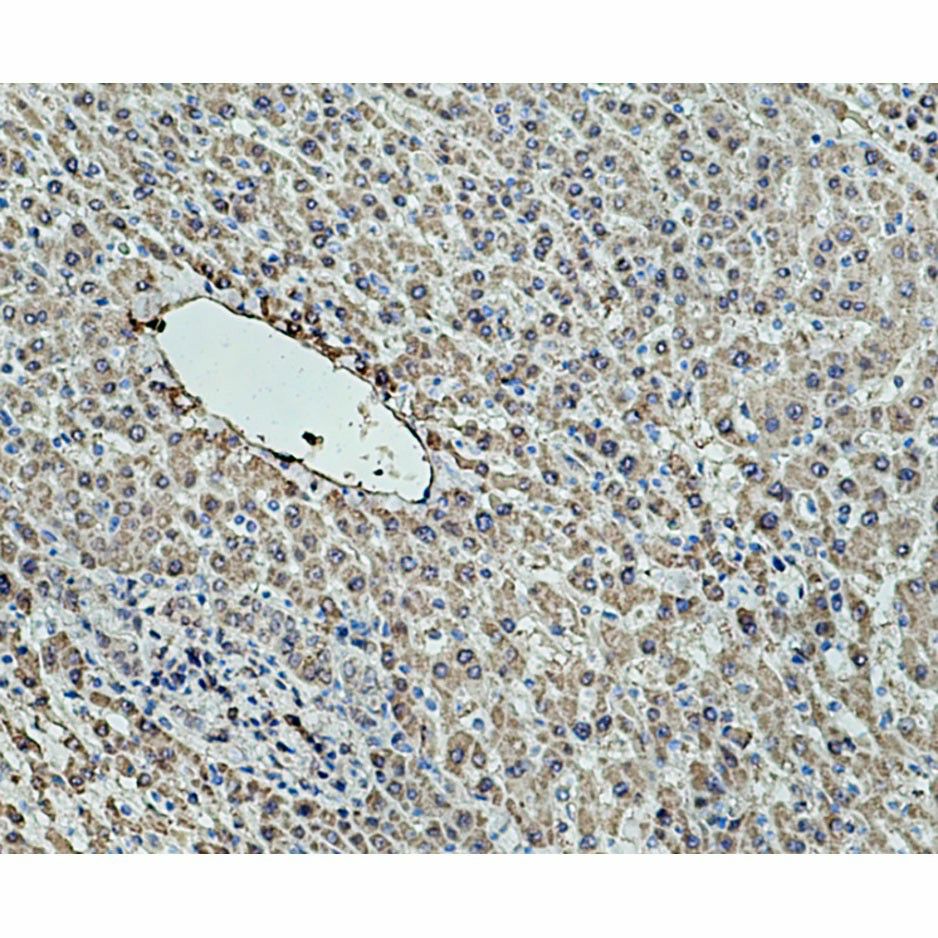 产品细节图片2