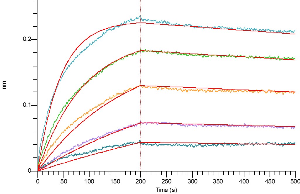 产品细节图片2