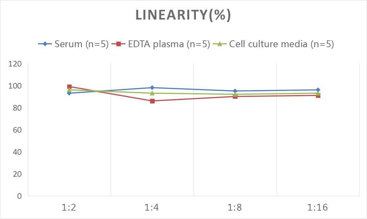 产品细节图片3