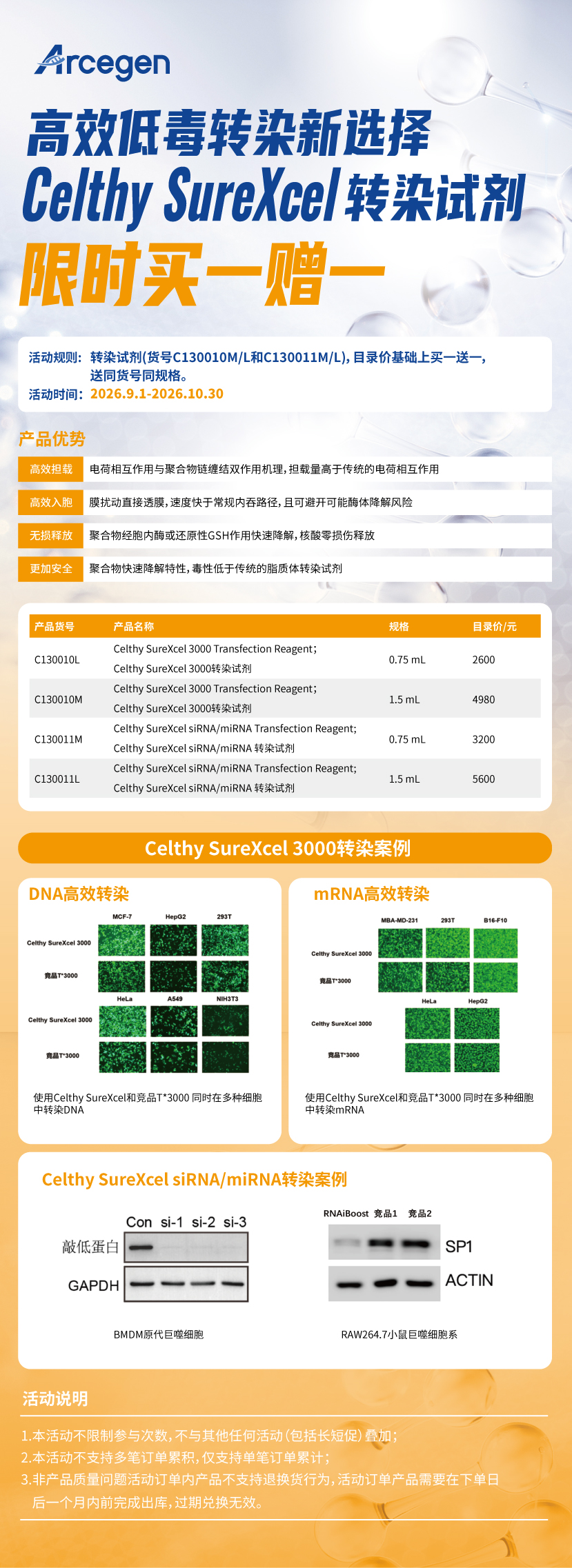 高效低毒转染新选择｜Celthy SureXcel转染试剂 限时买一赠一