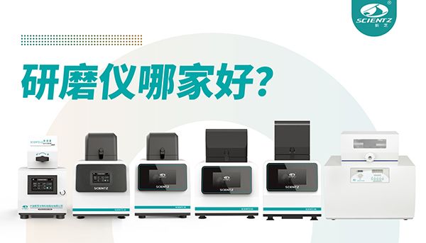 研磨仪哪家好？宁波新芝生物研磨仪厂家专注样品处理
