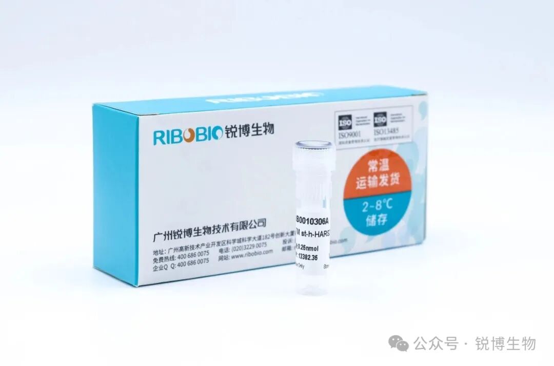 动物用siRNA应用案例丨含动物建模、实验处理、给药方式、给药剂量