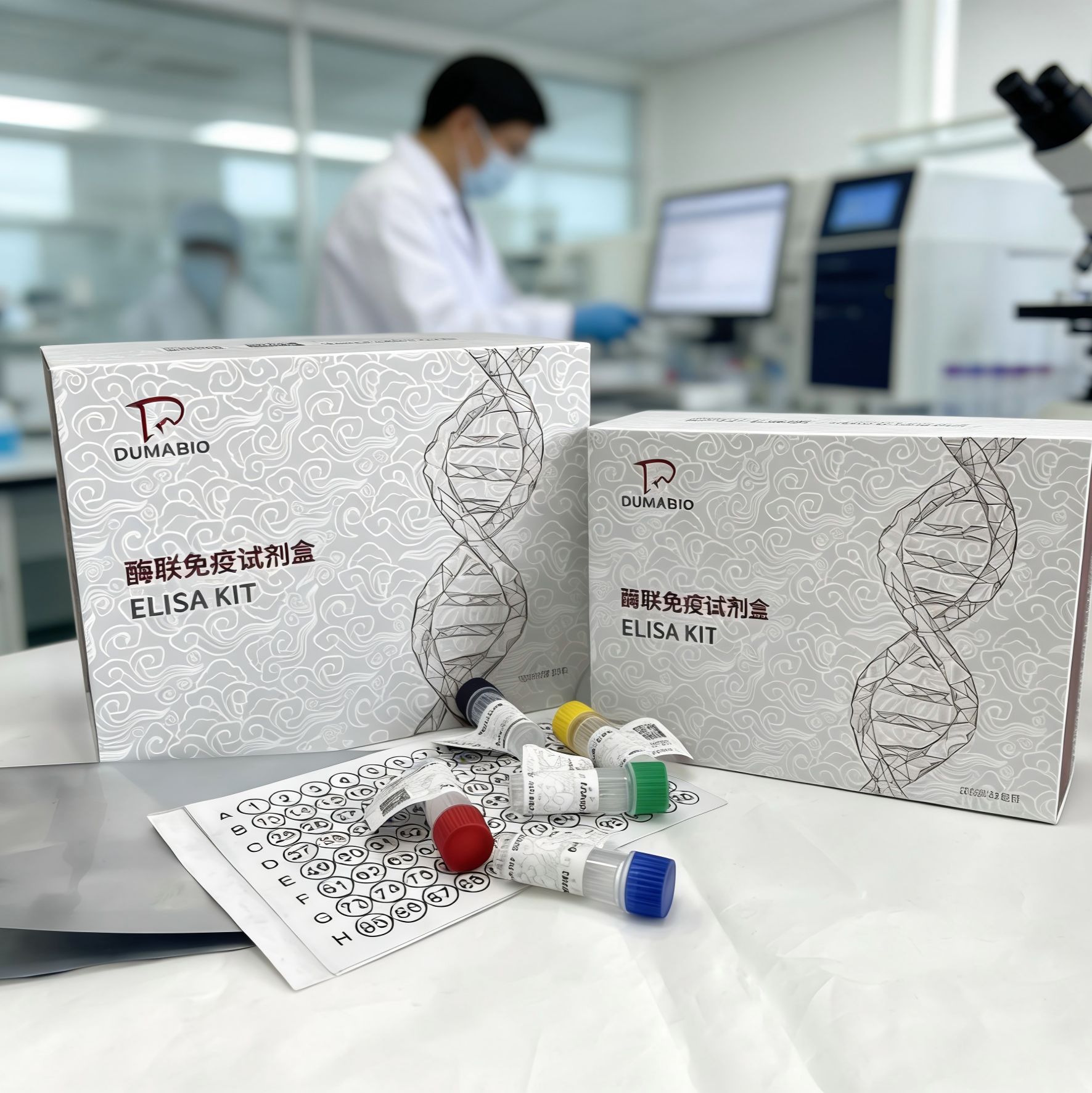 豚鼠（Guinea Pig）核糖核酸酶T2(RNASET2)ELISA检测试剂盒