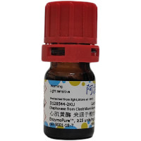 心肌黄酶 来源于梭状芽孢杆菌,9001-18-7,EnzymoPure™, ≥25 units/mg dry weight,阿拉丁