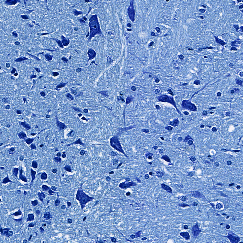 产品细节图片1