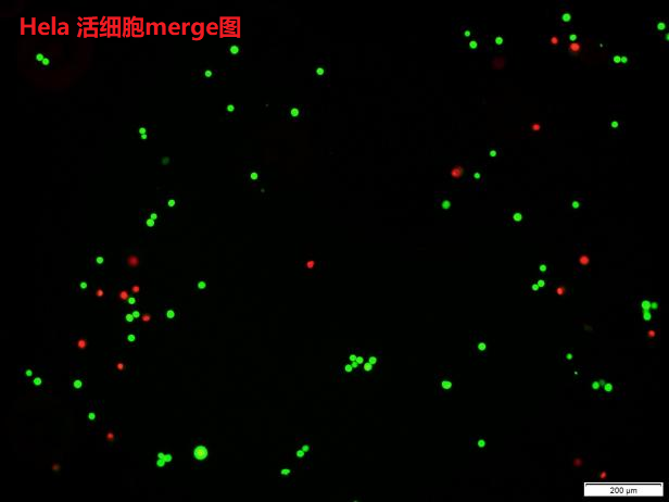 产品细节图片2