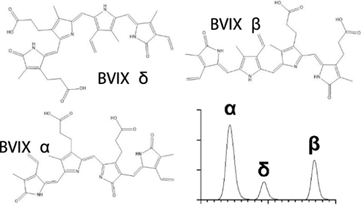 Bertin Precellys研磨器/研磨仪用户文章分享,美国马里兰大学科研团队发表在J Proteome Research “Quantitative LC–MS/MS Analysis of Endogenous Pseudomonas aeruginosa Isomeric Metabolites Biliverdin IX Alpha, Beta, and Delta in Cell C