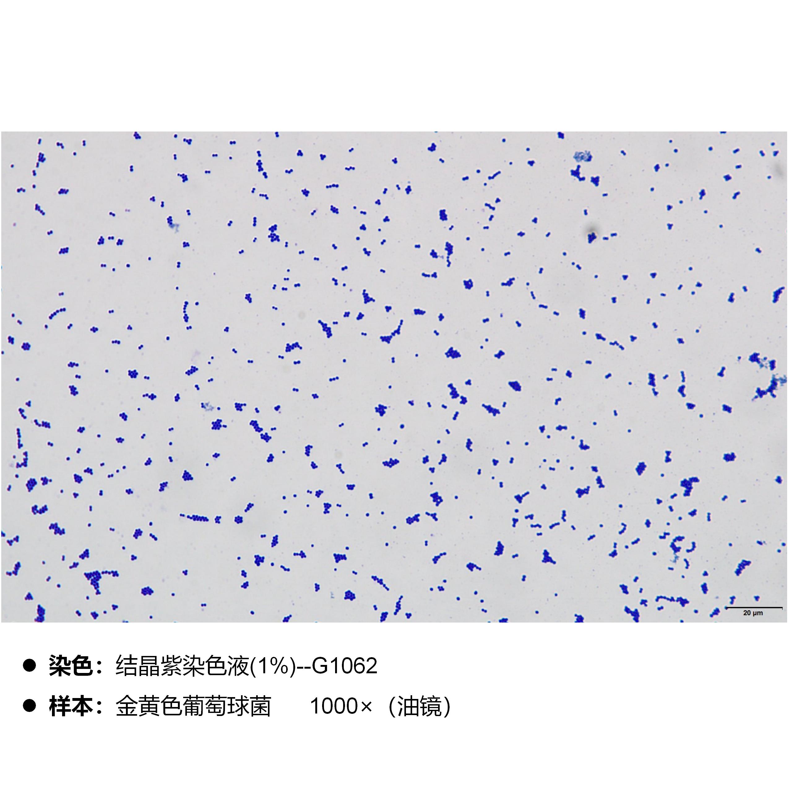 产品细节图片2