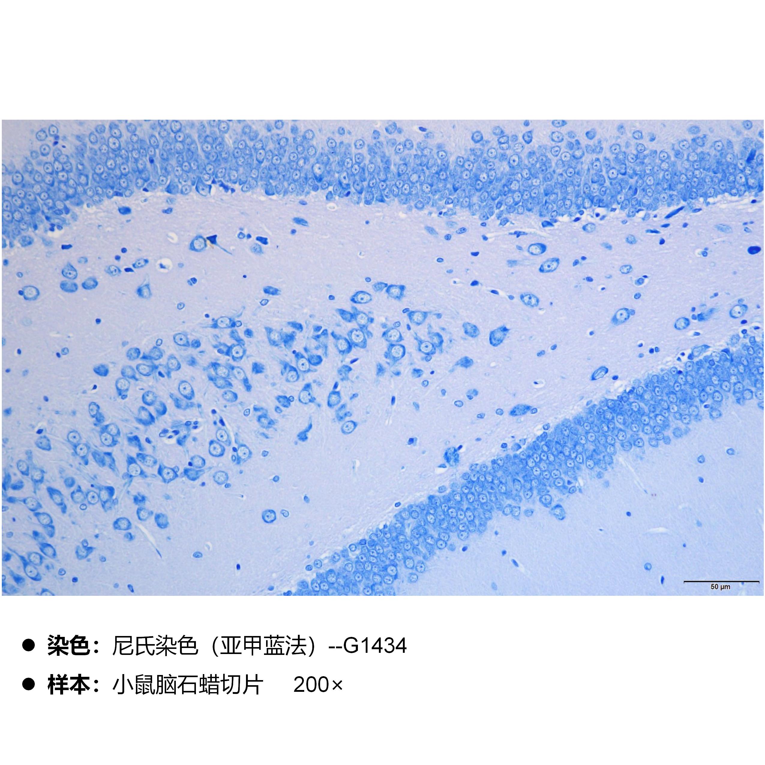 产品细节图片2