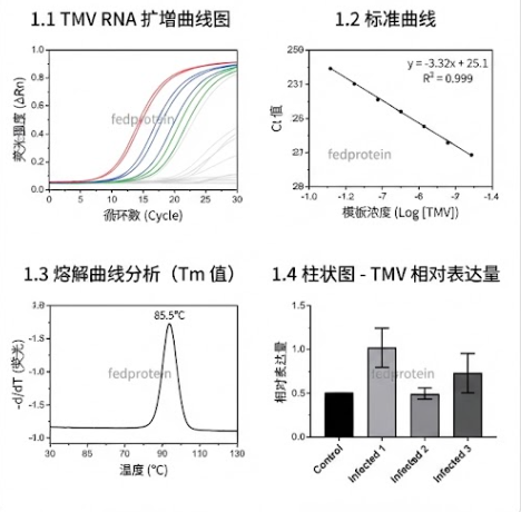 口碑好的烟草花叶病毒探针法qRT-PCR试剂盒（不含内参）供应商名声