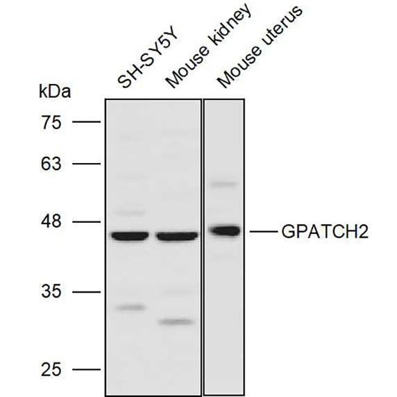 产品细节图片1