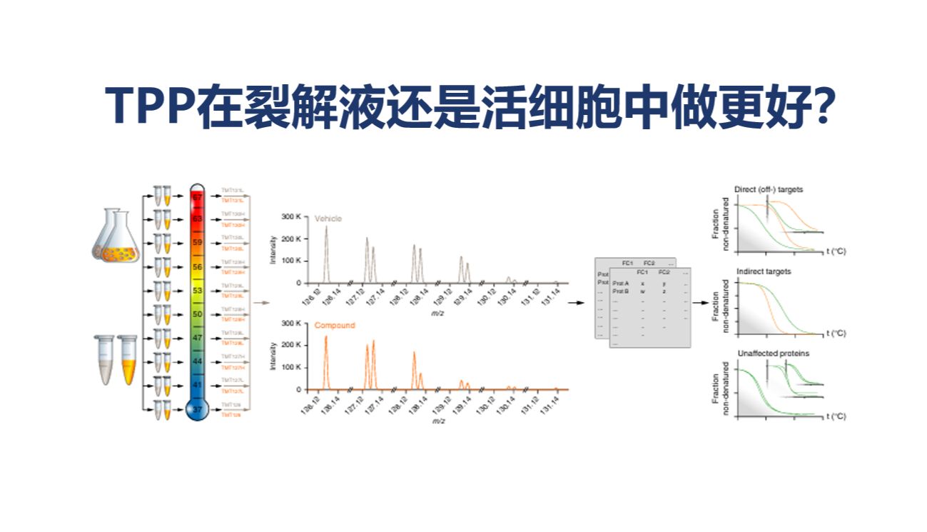 热蛋白组分析TPP实验选型：裂解液还是活细胞？一篇讲透两种方案的取舍
