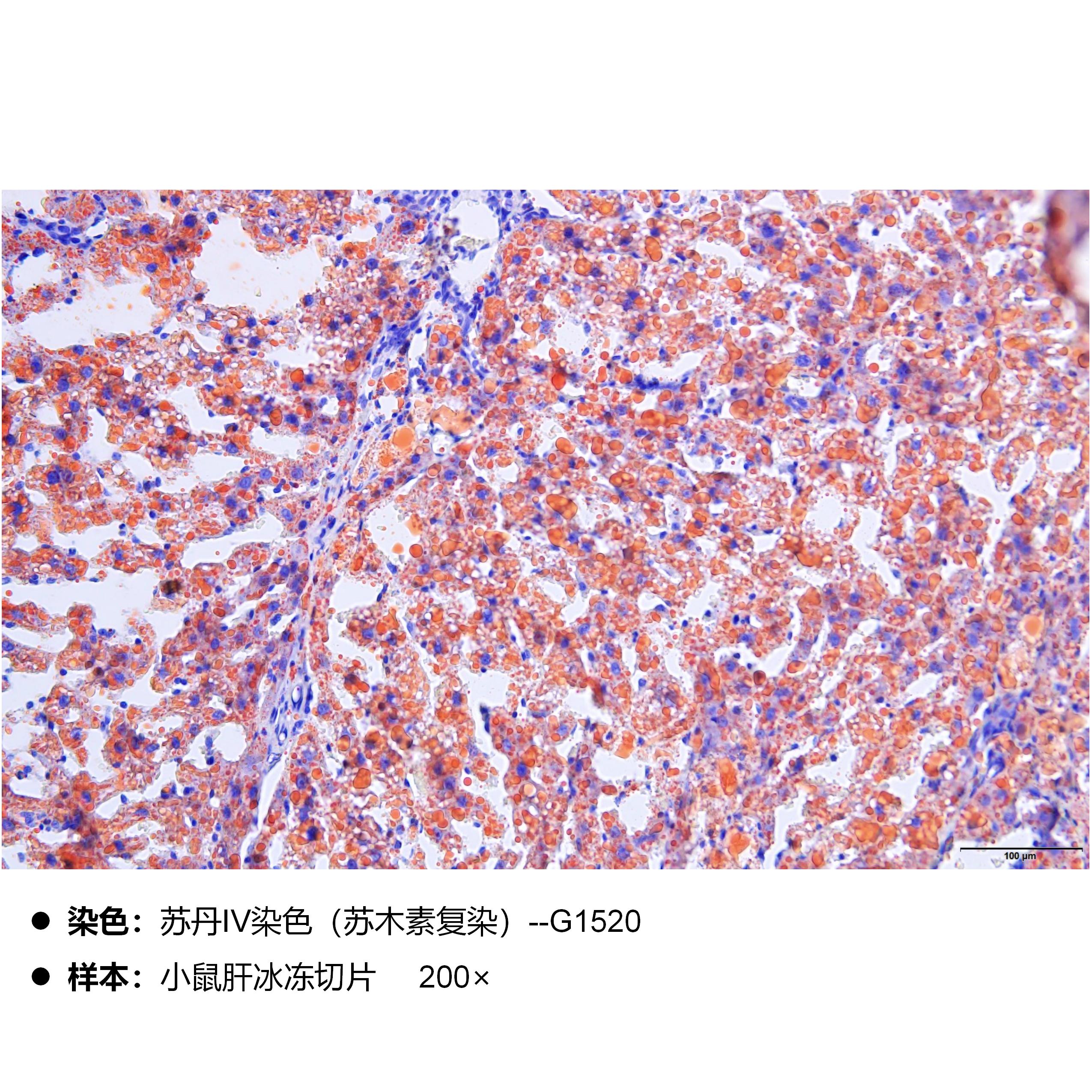 产品细节图片2