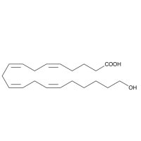 20-羟基二十碳-5Z,8Z,11Z,14Z-四烯酸(20-HETE),79551-86-3,Moligand™, ≥98%, a solution in ethanol,阿拉丁
