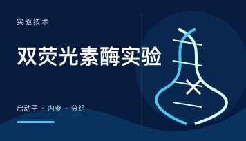 双荧光素酶 启动子 转录因子 实验怎么设计？内参和分组一步别错