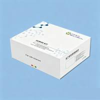 猪C反应蛋白(C Reactive Protein；CRP)ELISA试剂盒
