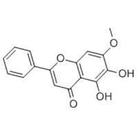 黄芩素-7-甲 醚