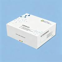 人钙粘蛋白9（Cadherin 9；CDH9）ELISA 试剂盒