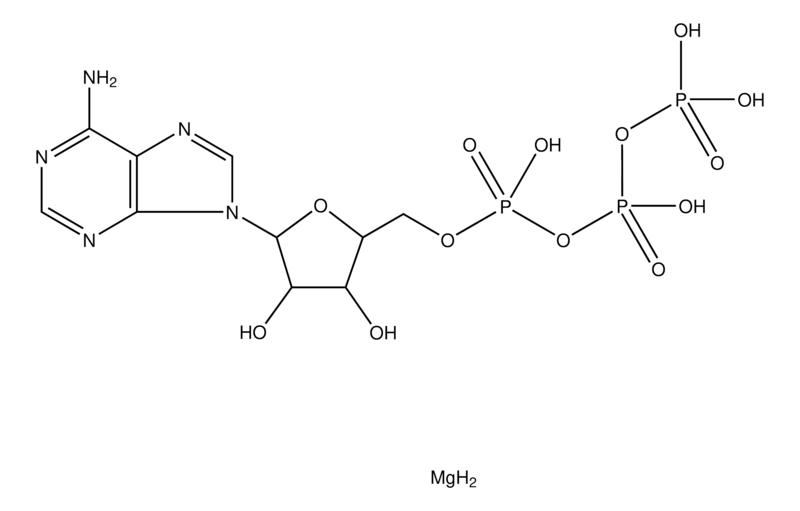 Adenosine 5′-triphosphate 镁盐 ≥95%, bacterial