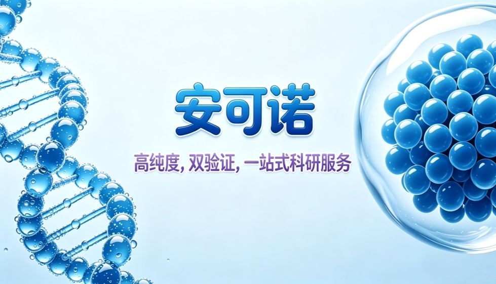 新冠“后遗症”新发现？深度解读CD209蛋白：从免疫“哨兵”到糖尿病的潜在推手