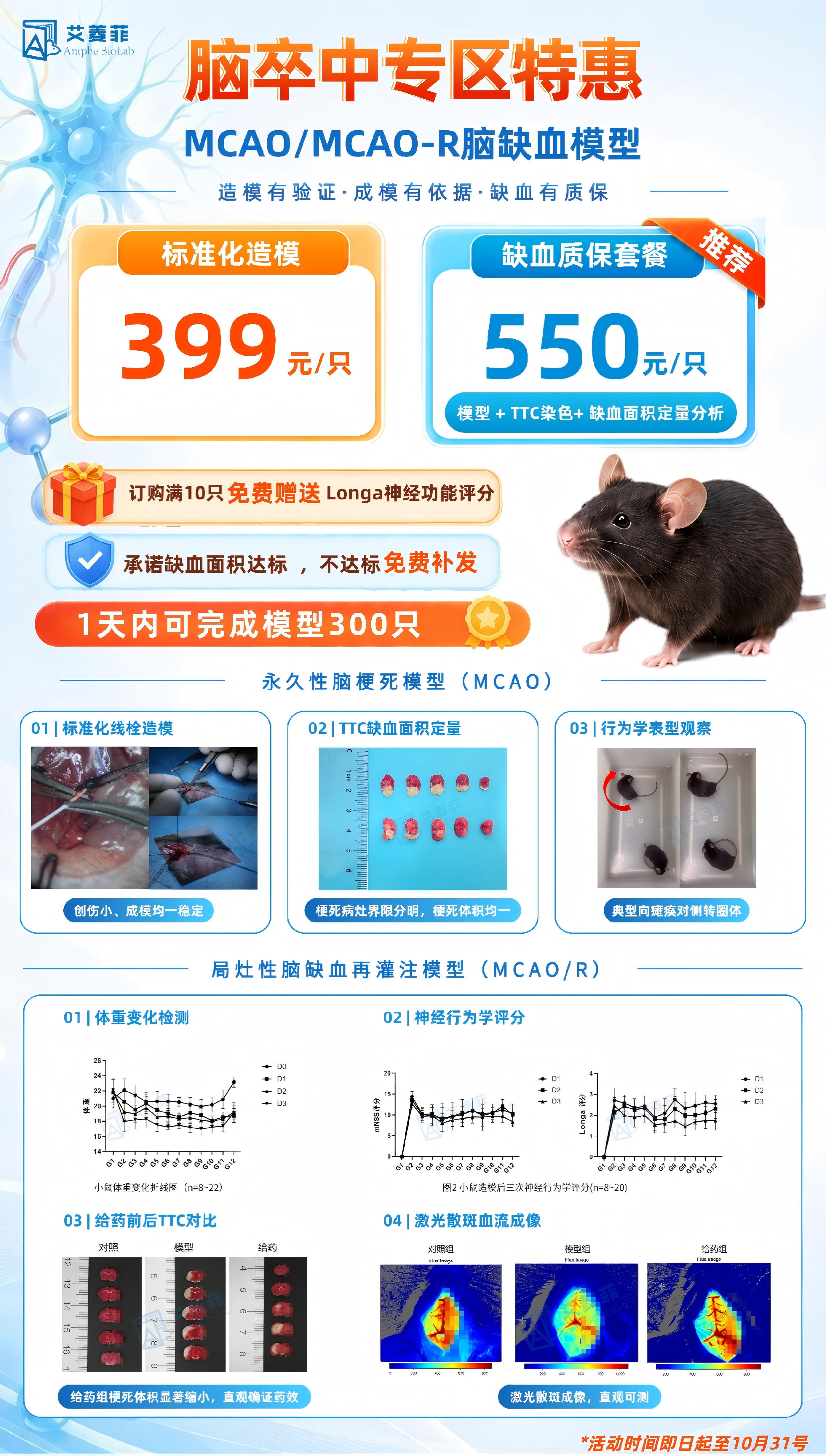 【MCAO/MCAO-R脑缺血模型】¥399击穿底线，满10 只免费送行为学！