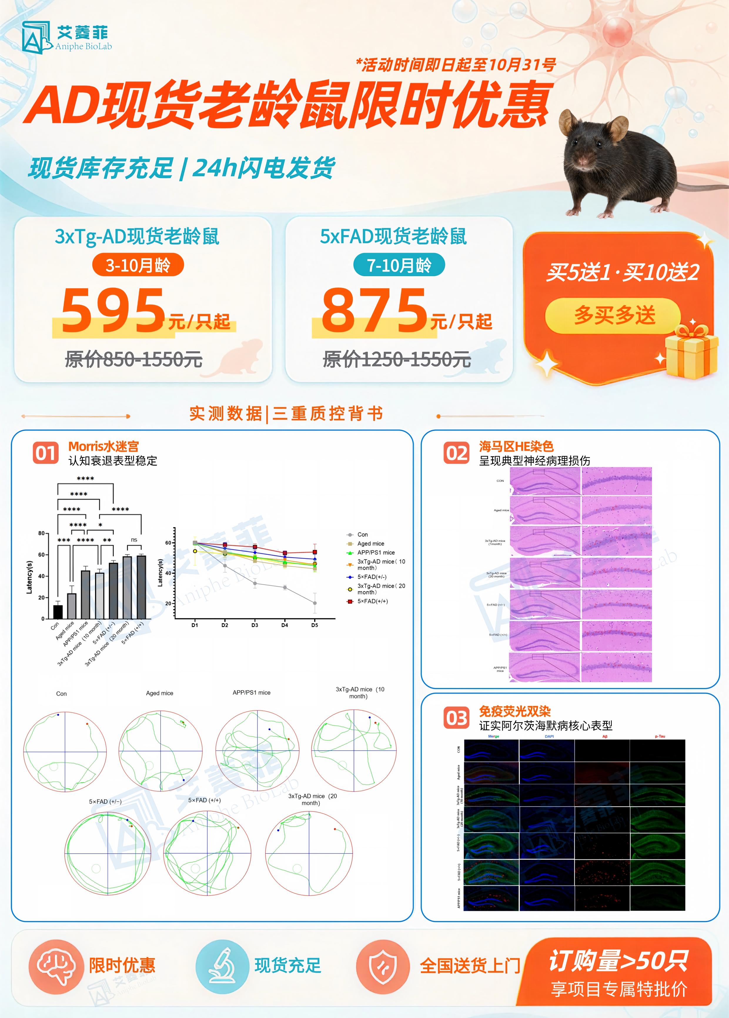 【AD现货】3xTg小鼠、5xFAD小鼠限时优惠，买5送1、买10送2！