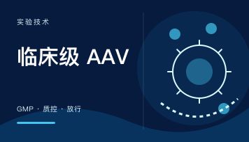 临床级 AAV GMP 生产要满足什么条件？和科研级 AAV 到底差在哪