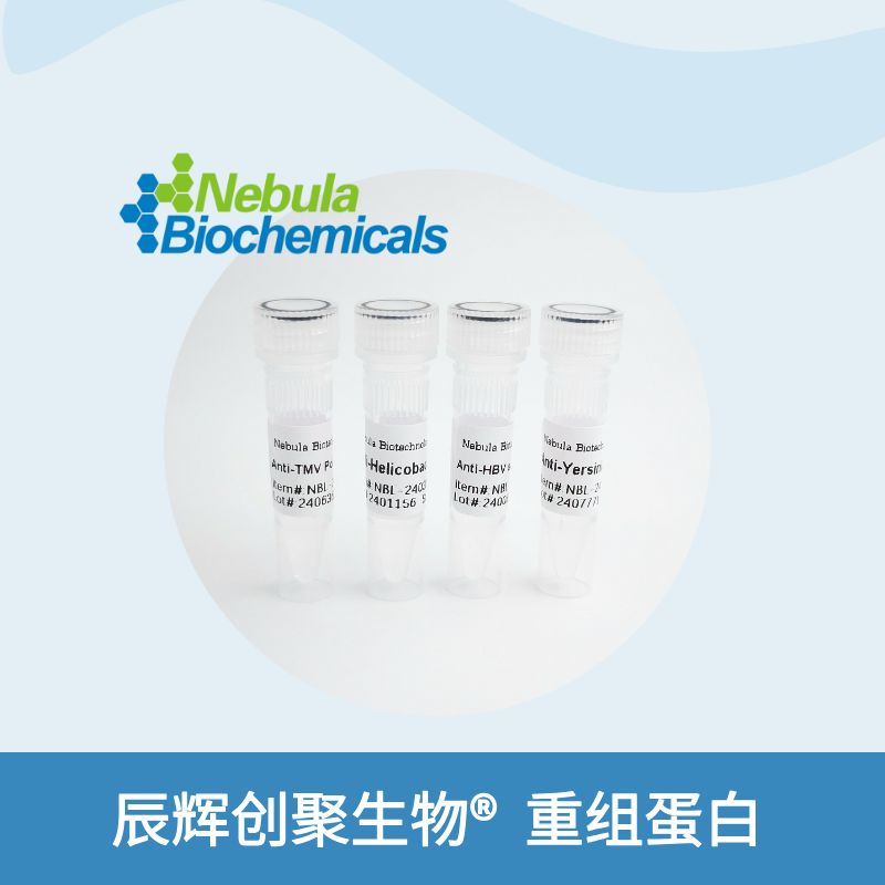 重组血吸虫TGR蛋白 | Recombinant Schistosoma mansoni TGR Protein