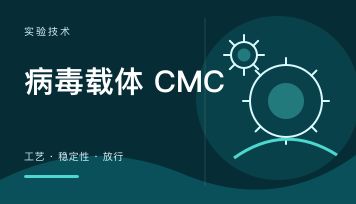 病毒载体 CMC IND 申报要准备什么？工艺、质控、稳定性、放行一篇讲清