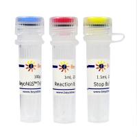 BeyoNGS™ Tn5 Transposase