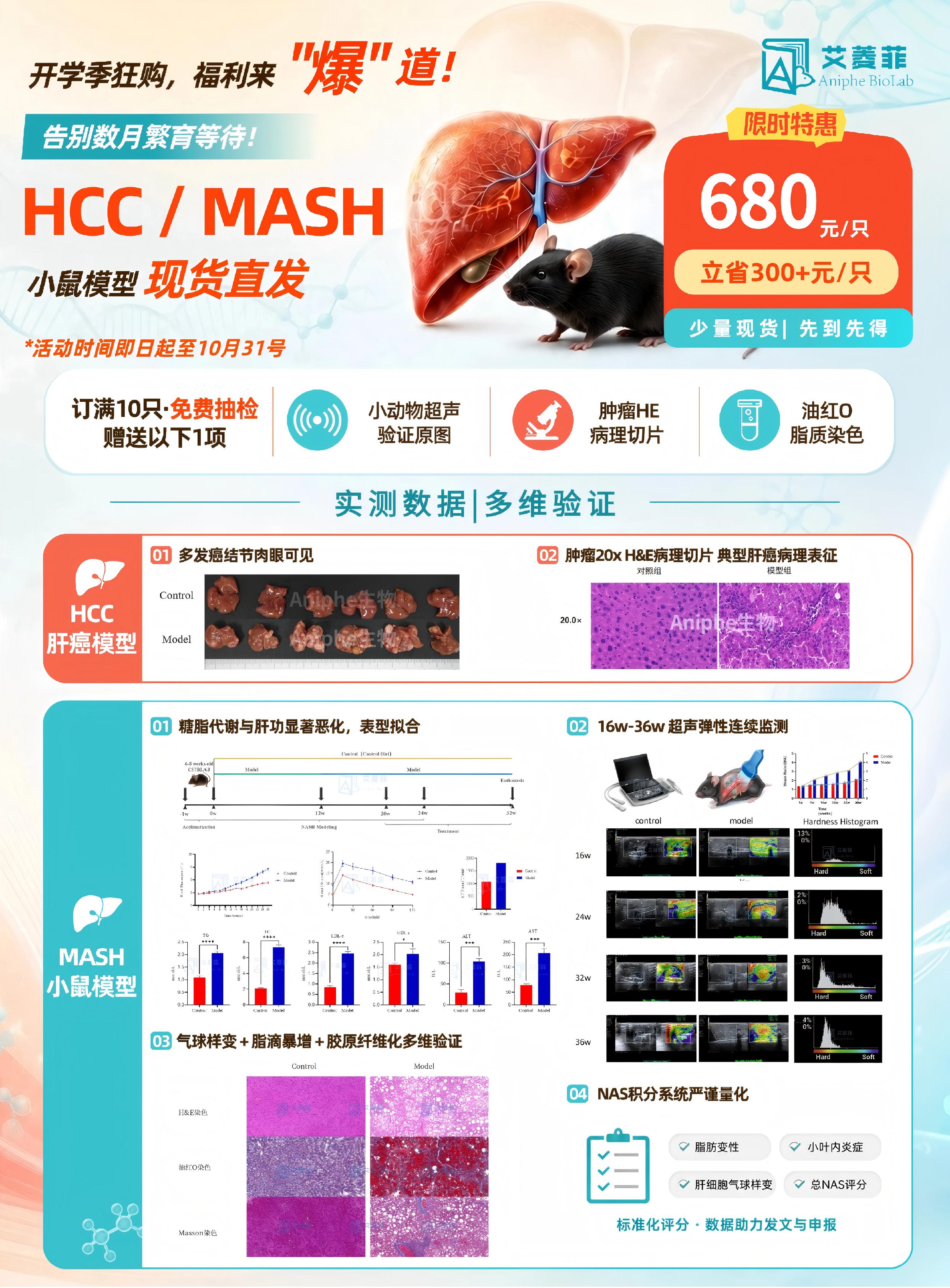 【HCC / MASH肝病模型】现货直发，立省 300+元/只！
