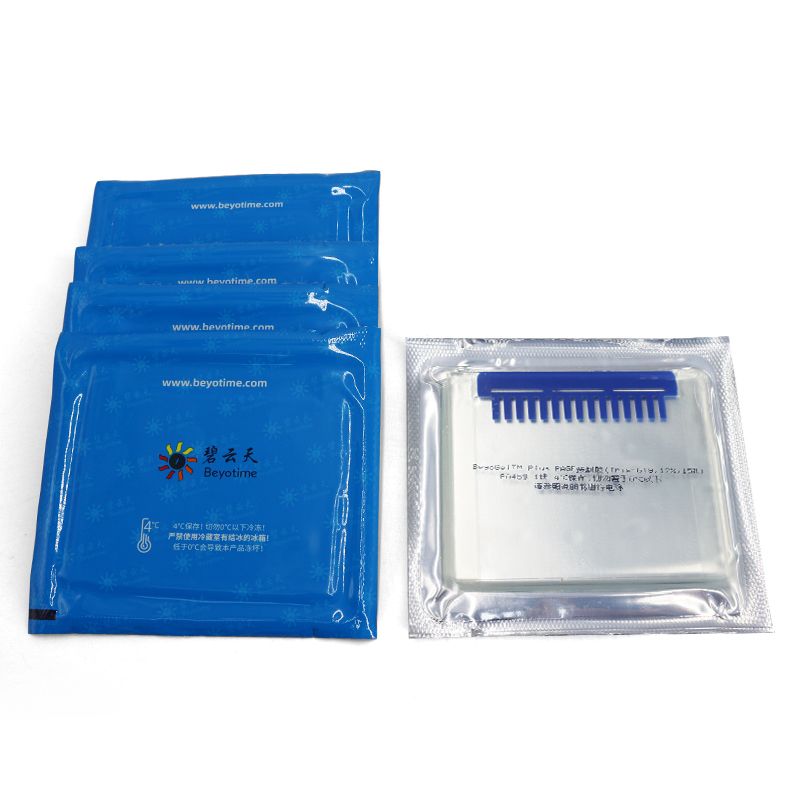 BeyoGel™ Plus PAGE预制胶(Tris-Gly, 12%, 15孔)