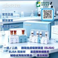 Anti-Insulin + Proinsulin 抗体 [D6C4]
