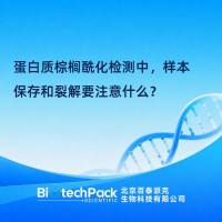 蛋白质棕榈酰化检测中，样本保存和裂解要注意什么？