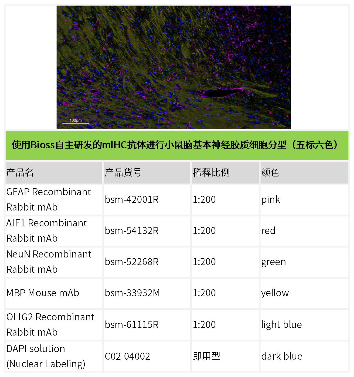 新闻图片6