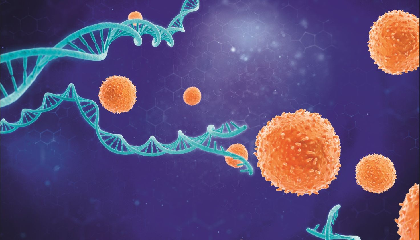 FFPE样本做snRNA-seq，优化提核让细胞检出数提升84%，基因检出近乎翻倍！