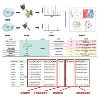 谱度众合免疫沉淀-质谱联用技术（IP-MS）