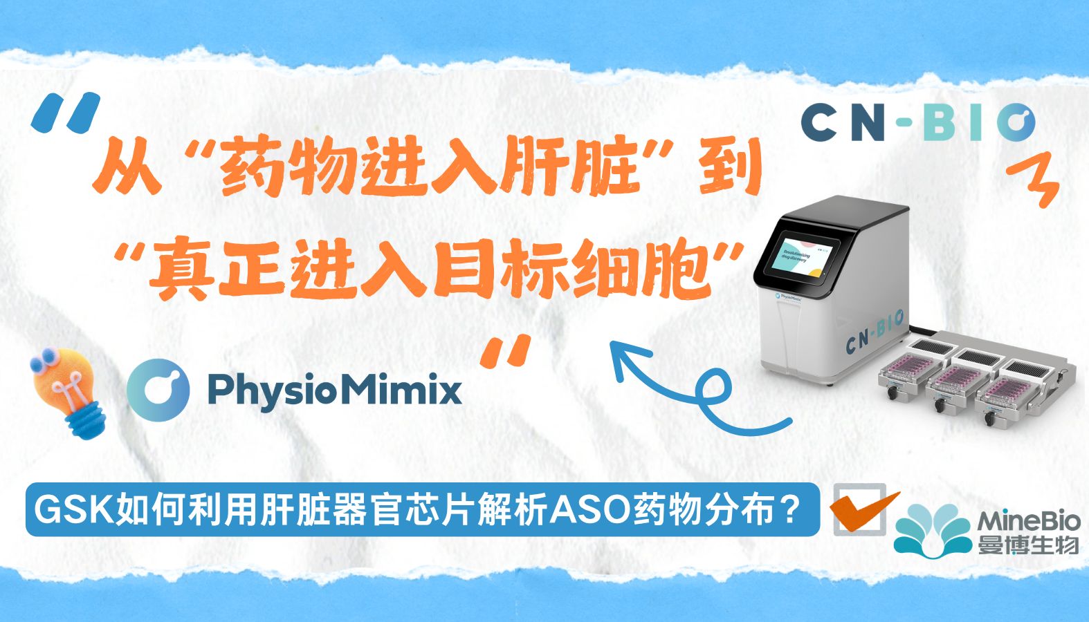 从“药物进入肝脏”到“真正进入目标细胞”：GSK如何利用肝脏器官芯片解析ASO药物分布？