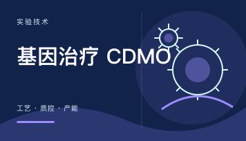 基因治疗 CDMO 怎么选？六个维度、一张选型表，避开最贵的三个坑